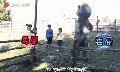 Sao nhí Hoa ngữ 4 tuổi nổi tiếng, 6 tuổi kiếm tiền nuôi cả gia đình nhưng sự thật phía sau khiến nhiều người xót xa-3