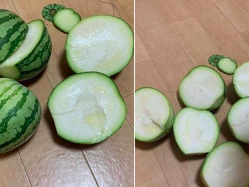 Nóng thế này xin hãy bán dưa hấu có tâm: Một là không nói dối, hai là không nói dối nhiều lần!-2