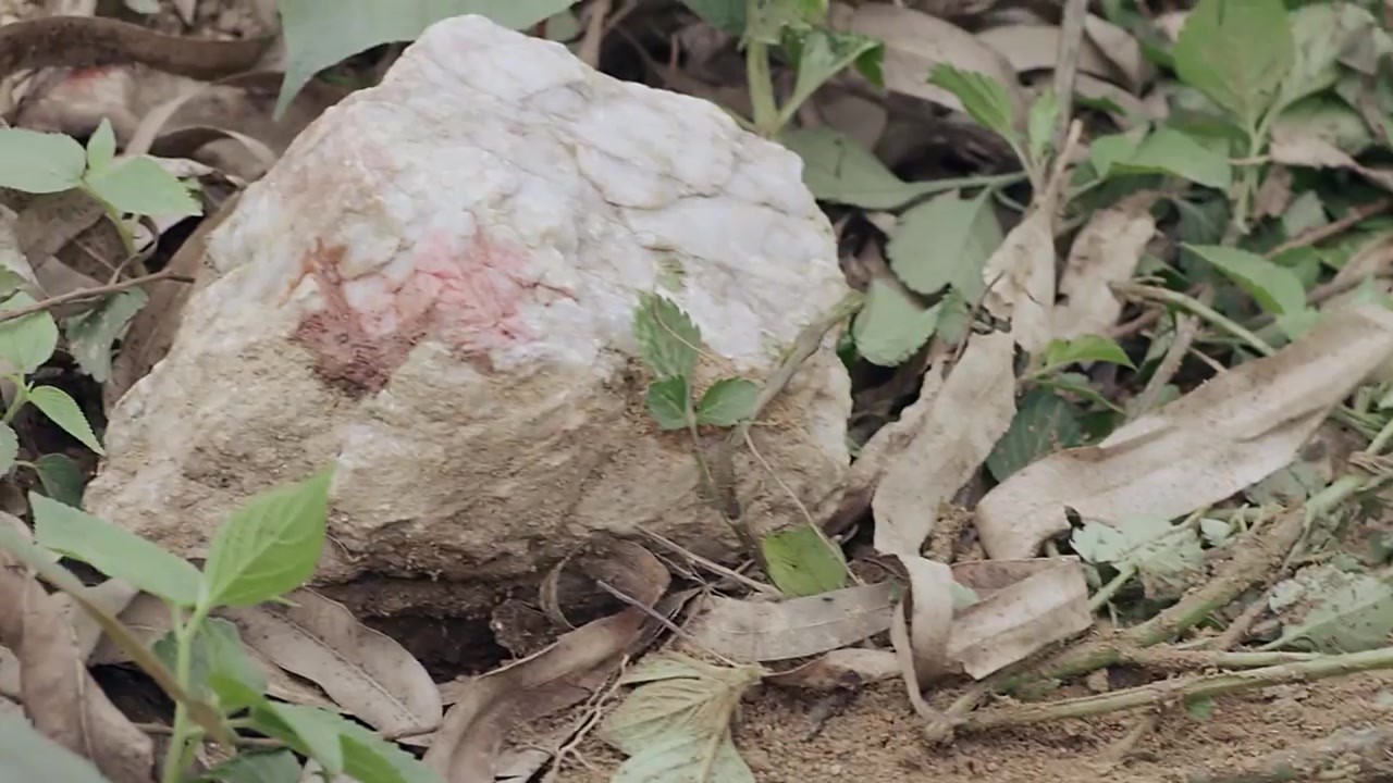 Hoàng Thuỳ Linh quê độ vì tưởng được cầu hôn trong Mê Cung, ai ngờ hôn phu bỏ chạy theo trai lạ-11