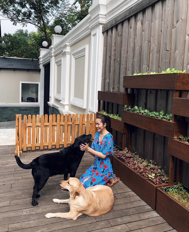 Cuộc sống hôn nhân bình yên đáng mơ ước của dàn mỹ nhân đình đám Vbiz: An nhàn, không xô bồ, được ông xã cưng chiều hết mực!-9