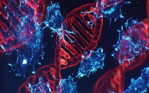 Đây là những trường hợp có nguy cơ mắc bệnh ung thư gan rất cao, số 3 nhiều người mắc phải-5