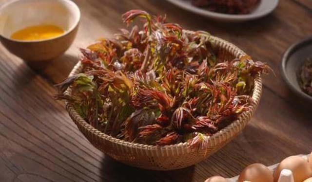 Loại cây có độc nhưng rất nhiều người muốn ăn với mức giá cực cao-3