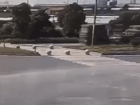 Container phanh gấp, 5 trụ bê tông phía sau lao tới đè bẹp cabin khiến tài xế chết thảm