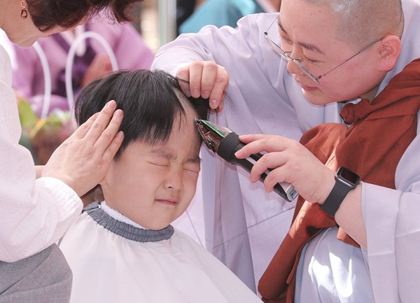Loạt sắc thái đáng yêu hết nấc của các chú tiểu trong ngày xuống tóc đón lễ Phật Đản ở Hàn Quốc-1