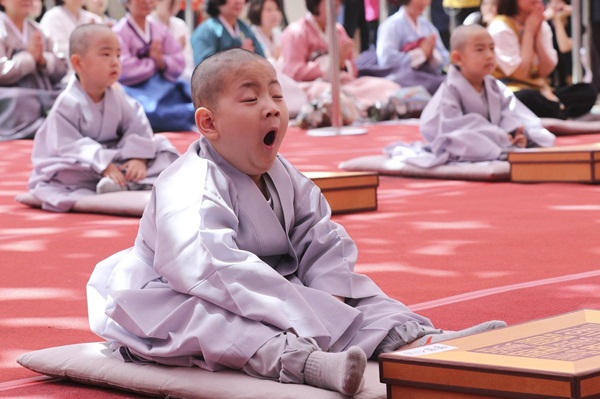 Loạt sắc thái đáng yêu hết nấc của các chú tiểu trong ngày xuống tóc đón lễ Phật Đản ở Hàn Quốc-5