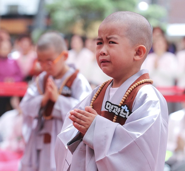 Loạt sắc thái đáng yêu hết nấc của các chú tiểu trong ngày xuống tóc đón lễ Phật Đản ở Hàn Quốc-12