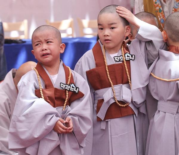 Loạt sắc thái đáng yêu hết nấc của các chú tiểu trong ngày xuống tóc đón lễ Phật Đản ở Hàn Quốc-13
