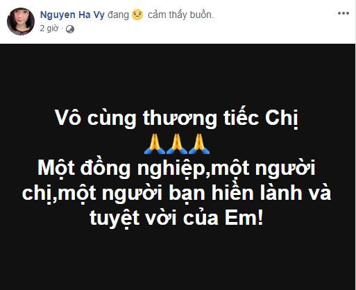 Sao Việt xót xa đau đớn trước thông tin người mẫu Như Hương qua đời ở tuổi 37 vì ung thư-3