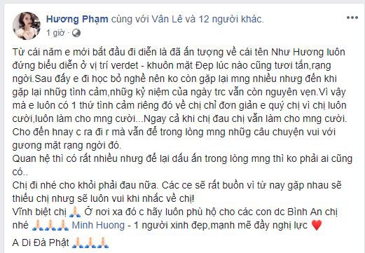 Sao Việt xót xa đau đớn trước thông tin người mẫu Như Hương qua đời ở tuổi 37 vì ung thư-4