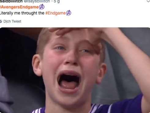 Mạng xã hội cả thế giới chìm trong biển meme mếu máo sau khi xem Avengers: Endgame