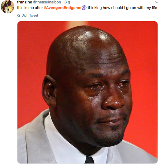 Mạng xã hội cả thế giới chìm trong biển meme mếu máo sau khi xem Avengers: Endgame-2