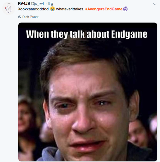 Mạng xã hội cả thế giới chìm trong biển meme mếu máo sau khi xem Avengers: Endgame-3