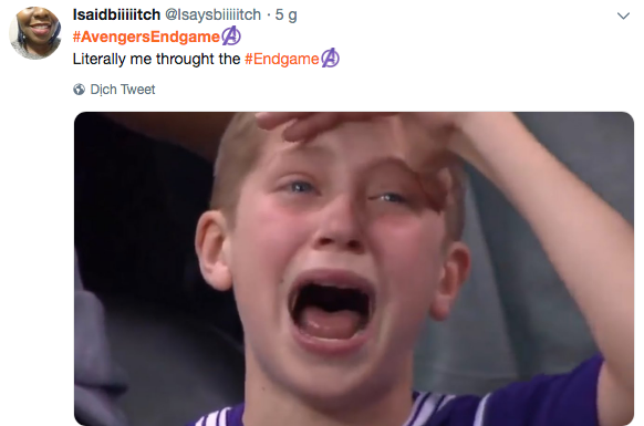 Mạng xã hội cả thế giới chìm trong biển meme mếu máo sau khi xem Avengers: Endgame-5