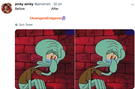 Mạng xã hội cả thế giới chìm trong biển meme mếu máo sau khi xem Avengers: Endgame-10