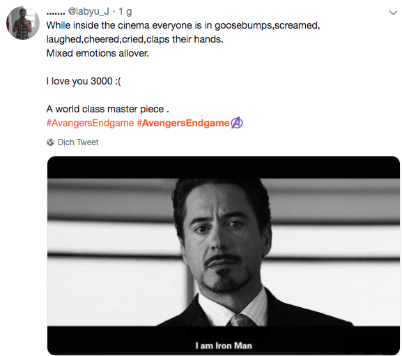 Mạng xã hội cả thế giới chìm trong biển meme mếu máo sau khi xem Avengers: Endgame-12