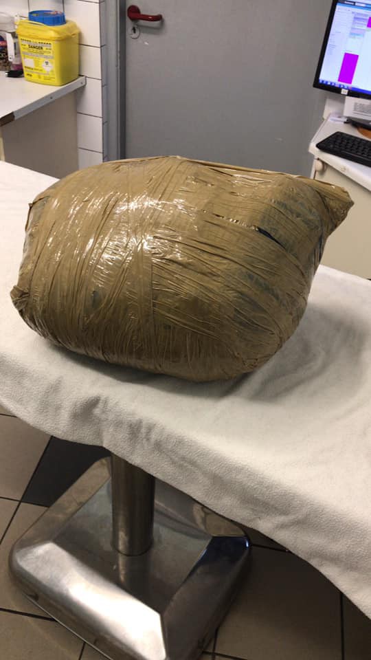 Cô gái đi du lịch về thấy chó cưng đã chết, thậm chí còn bị nhân viên chăm sóc quấn băng dính chặt cứng một cục-2