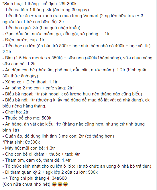 Bảng chi tiêu gần 35 triệu/tháng của gia đình 2 con nhỏ khiến chị em bĩu môi chê hoang, chủ nhân đáp trả cực gắt-2