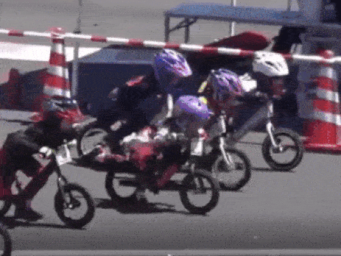 Xem đua xe cọp, khán giả bị tông thẳng người-1