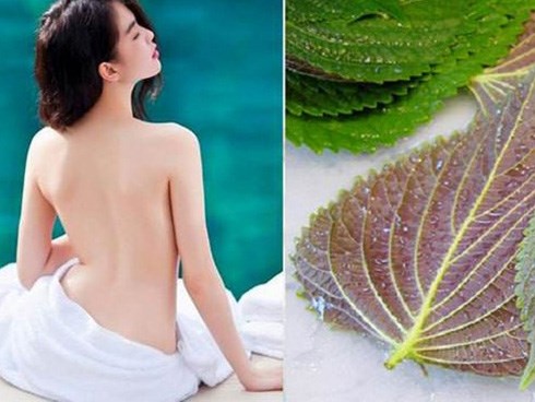 Tắm trắng tại nhà an toàn dễ dàng từ nguyên liệu tự nhiên