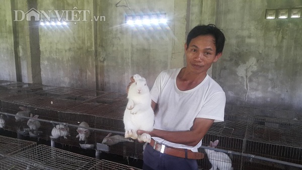 Làm giàu ở nông thôn: Nuôi thỏ bắt ăn kham khổ, bán đắt như tôm tươi-1