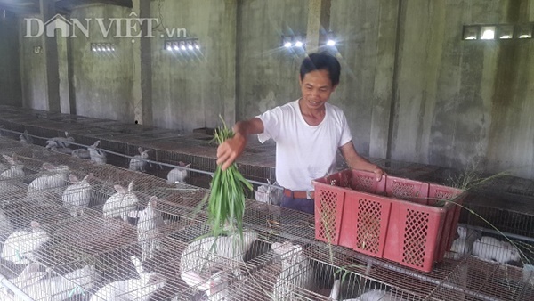 Làm giàu ở nông thôn: Nuôi thỏ bắt ăn kham khổ, bán đắt như tôm tươi-3