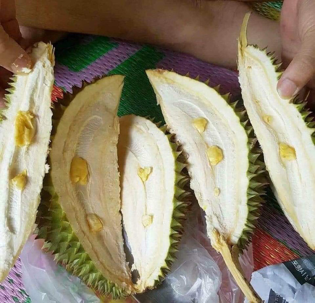 Tin lời quảng cáo hạt lép là lỗi của khách, nhưng sầu riêng tiêu biến luôn cả múi thì ắt hẳn là lỗi của người bán-2