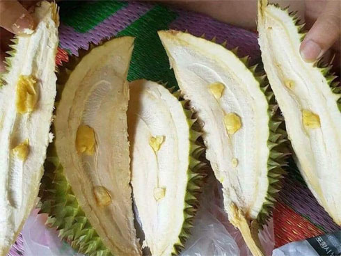 Đi nước ngoài về thèm sầu riêng, cô nàng đánh liều mua hẳn 3 trái ven đường, bổ ra mới biết lòng sầu hơn quả-4