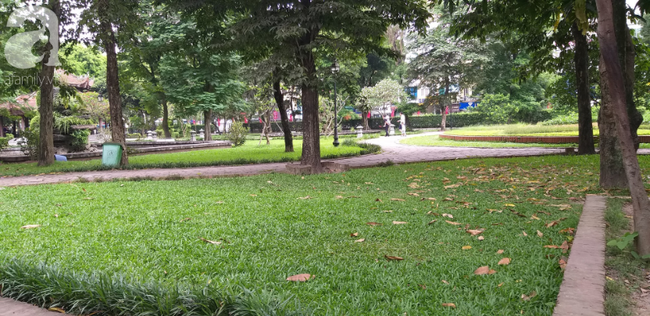 Hà Nội: Ông lão 81 tuổi bị người dân bắt quả tang sàm sỡ cô gái tâm thần trong nhà vệ sinh công cộng-5