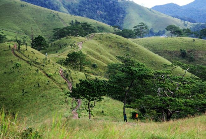 Thêm một phượt thủ tử nạn trên cung đường Tà Năng-Phan Dũng-1