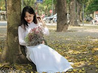 ẢNH: Mùa lá sấu nhuộm vàng trên con đường lãng mạn nhất Hà Nội