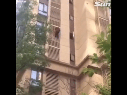 Những gương mặt vàng trong làng giải trí-1