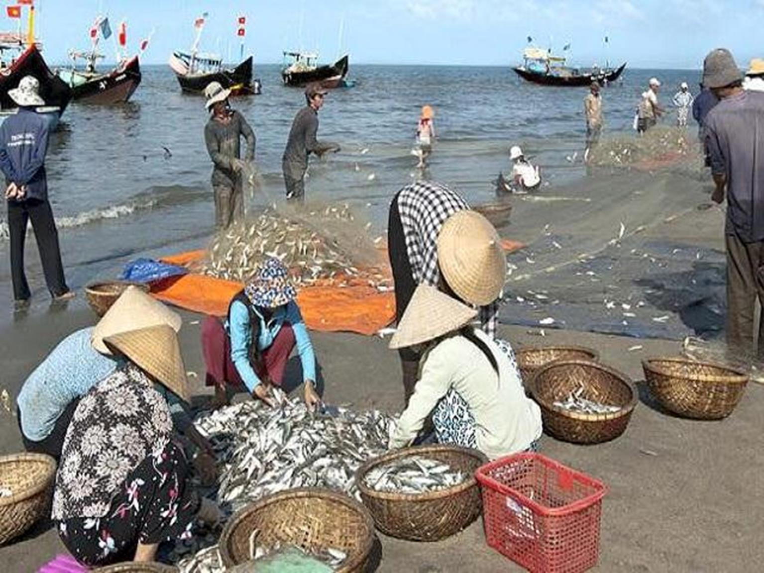 Nghỉ lễ 30/4: Một đêm săn tôm tít, ghẹ, ốc biển bỏ túi 2-4 triệu-1