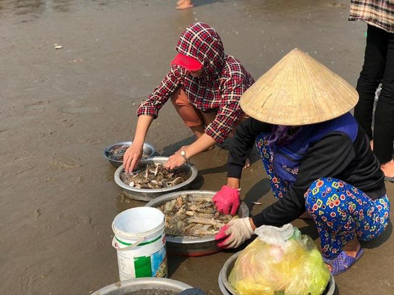 Nghỉ lễ 30/4: Một đêm săn tôm tít, ghẹ, ốc biển bỏ túi 2-4 triệu-3