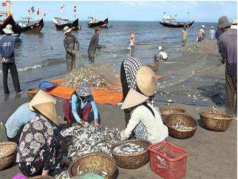 Chuyện lạ Cà Mau: Nuôi loài tôm hung dữ cực ngon nhưng dân không dám nướng?-3