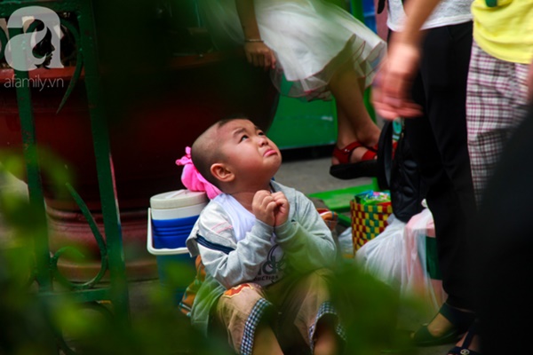 Thảo Cầm Viên vỡ trận, trẻ nhỏ gào khóc, ngồi gặm bánh mì chen chúc nhau giữa trời nắng 40 độ-23