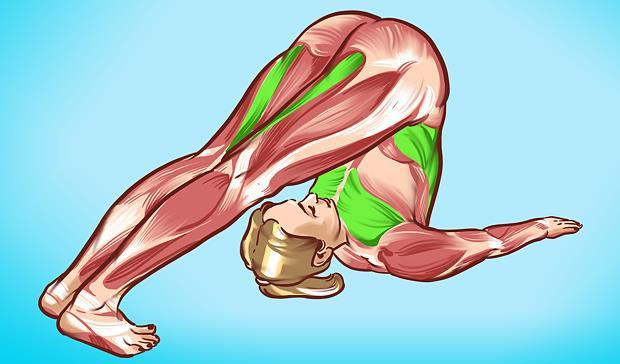 6 bài tập đơn giản giúp bạn bảo vệ gan-1