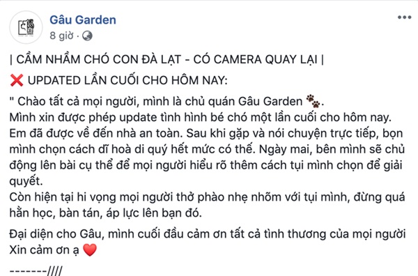 Đôi bạn trẻ vào uống cà phê ở Đà Lạt rồi bế nhầm luôn chú chó Corgi 25 ngày tuổi của chủ quán-3