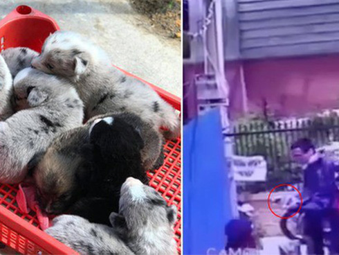 Mới sinh nên đẩy chồng sang phòng khác ngủ, vợ phát hiện kẻ thứ ba khi nửa đêm mở cửa-7