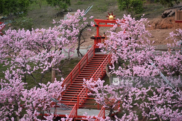 Sốc: Khách du lịch lo sợ vì bị chụp lén từ dưới lên khi đi ngang cầu kính Mộc Châu-12