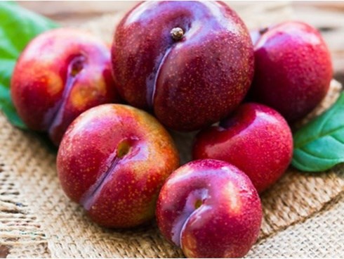 Ăn nhiều mận thực sự có thể gặp họa khôn lường như thế này