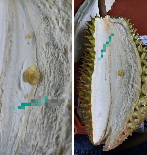 Đi nước ngoài về thèm sầu riêng, cô nàng đánh liều mua hẳn 3 trái ven đường, bổ ra mới biết lòng sầu hơn quả-1