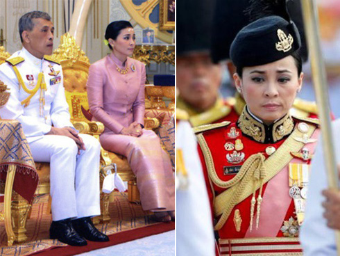 Dân mạng tranh cãi vì nghi ngờ con mèo trong lễ đăng quang của vua Thái Lan là giả-4