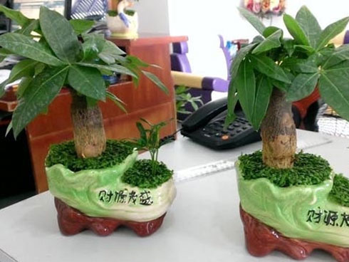 Điềm báo phong thủy vận đen sắp bủa vây xung quanh bạn, cẩn trọng mọi việc nếu không muốn hao tài tán của-4