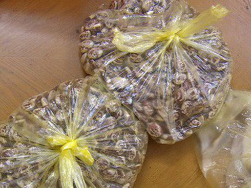 Du khách tố bị chặt chém 500.000 đồng ghế ngồi ở bãi biển Thanh Hóa-3