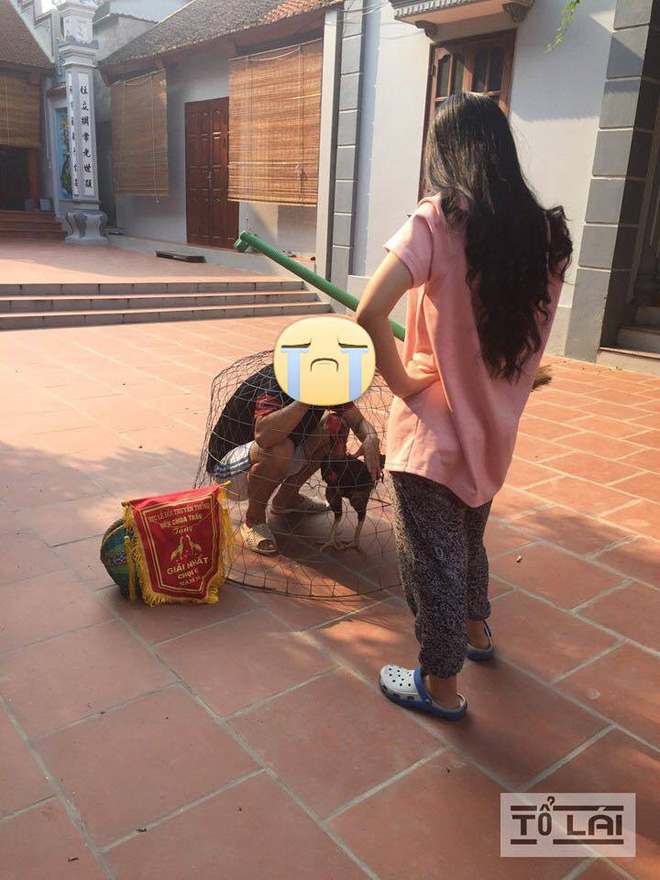 Trốn đi chơi, người đàn ông bị vợ nhốt vào chuồng cùng gà và đánh bằng cán chổi-2