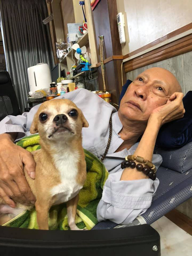 Rơi nước mắt với hình ảnh chú cún nhỏ buộc khăn tang trắng, quanh quẩn không rời bên linh cữu cố nghệ sĩ Lê Bình-11