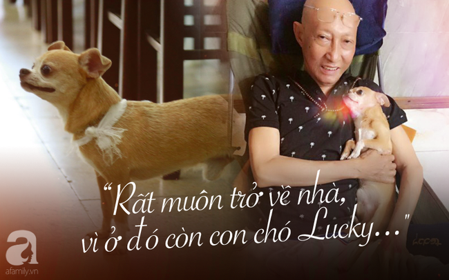 Rơi nước mắt với hình ảnh chú cún nhỏ buộc khăn tang trắng, quanh quẩn không rời bên linh cữu cố nghệ sĩ Lê Bình-1