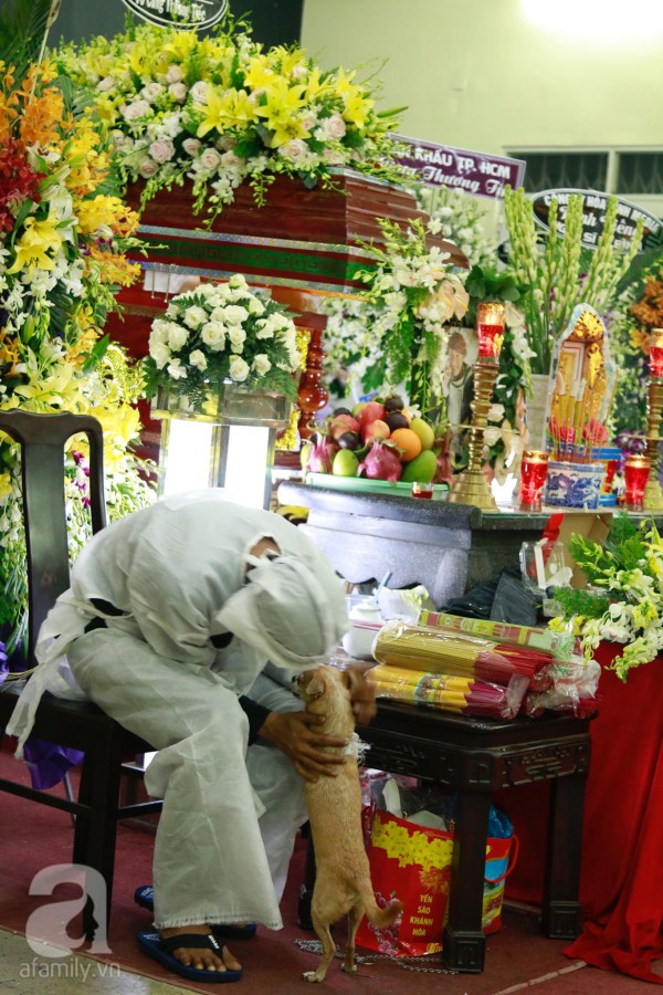 Rơi nước mắt với hình ảnh chú cún nhỏ buộc khăn tang trắng, quanh quẩn không rời bên linh cữu cố nghệ sĩ Lê Bình-5