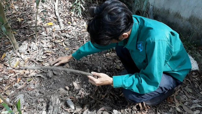 Vụ hơn 300 thai nhi chôn ở nhà máy rác TP.Cà Mau: Kiểm tra mẫu vật được cho là xác thai nhi-1