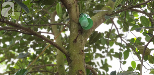 Tâm sự của người cha nhốt con trai như vật nuôi trong chuồng đầy ruồi muỗi: Cái gì đưa vào nó cũng đập phá, ai mà không thương con-7